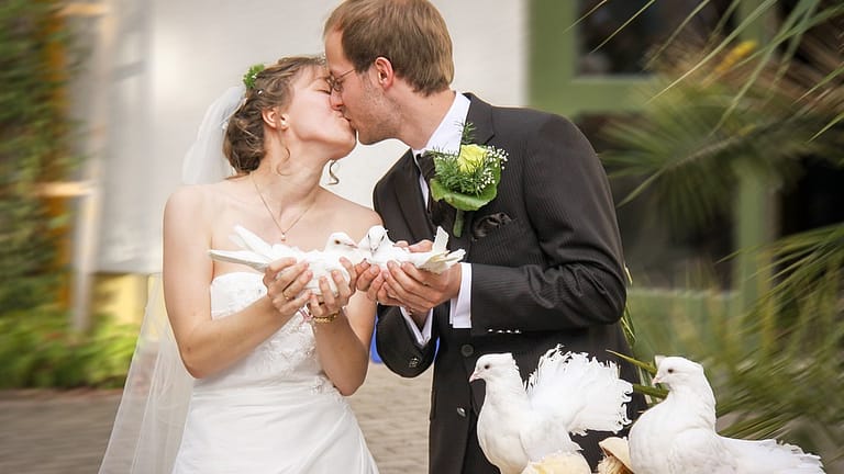 wedding photographer
